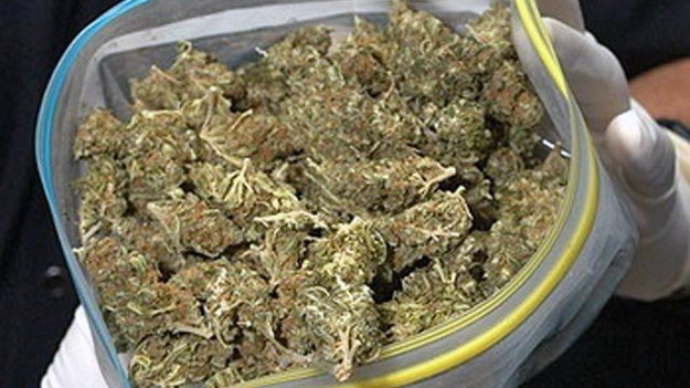 В доме бывшего телохранителя наркополицейские нашли пять ведер марихуаны