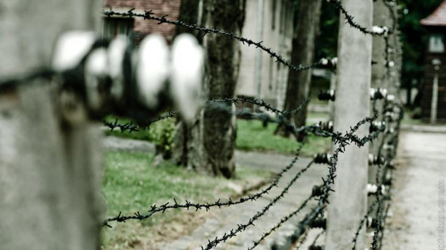 Жертвами нацистов  в Освенциме стали более одного миллиона человек